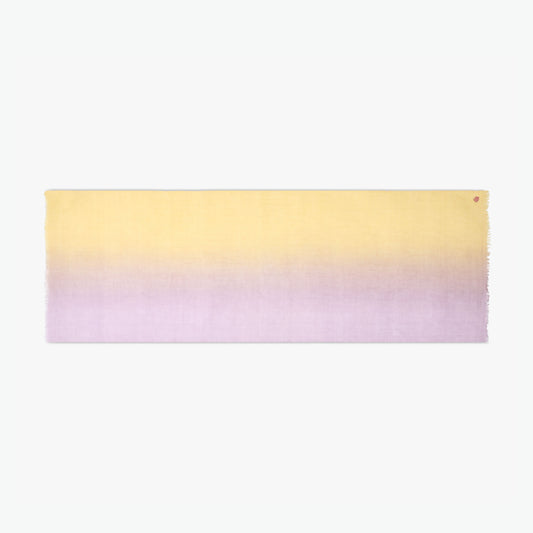 Dip Dye Jaune Lilas ST